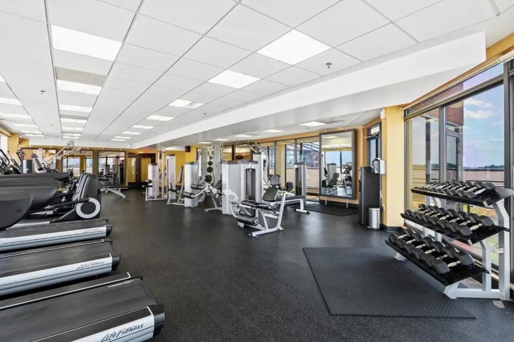 Modern & Charming Apt With Rooftop @Pentagon City Arlington Zewnętrze zdjęcie